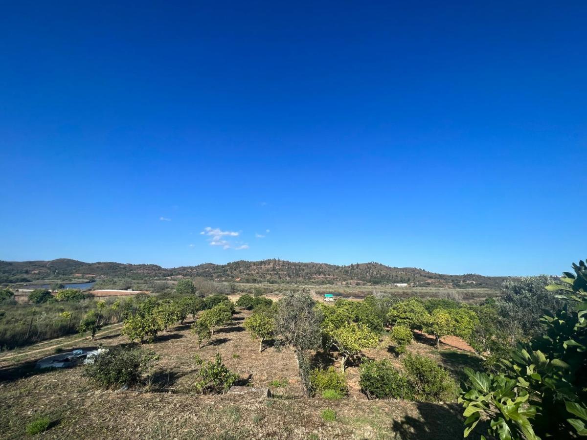 Holiday home Quinta With Orange And Lemon Trees