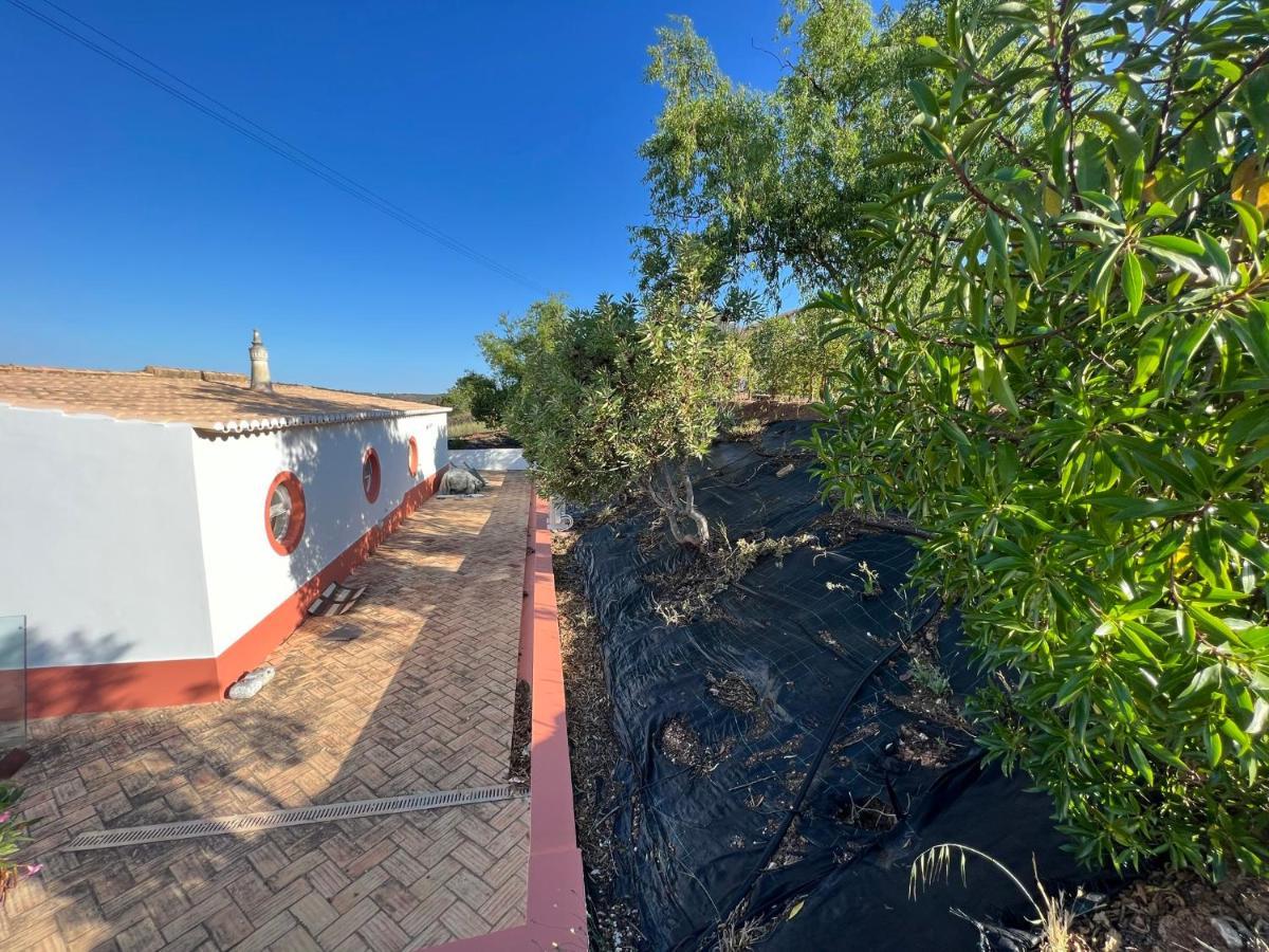 Holiday home Quinta With Orange And Lemon Trees