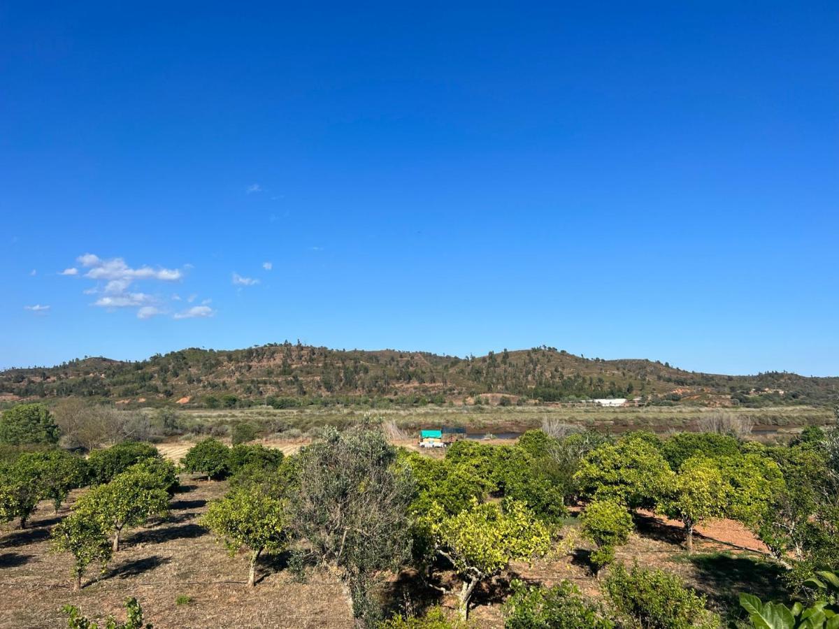 Quinta With Orange And Lemon Trees Holiday home