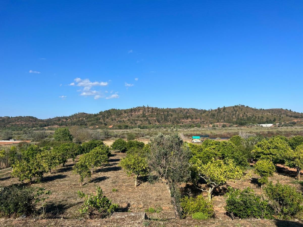 Quinta With Orange And Lemon Trees Holiday home *